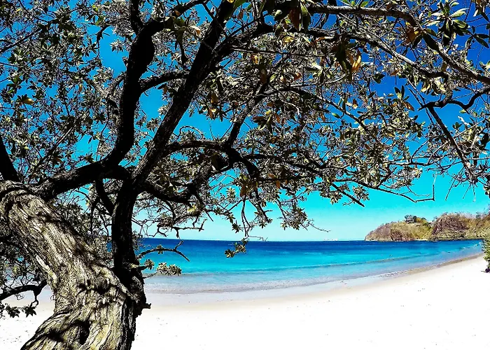 Resort Margaritaville 4*
